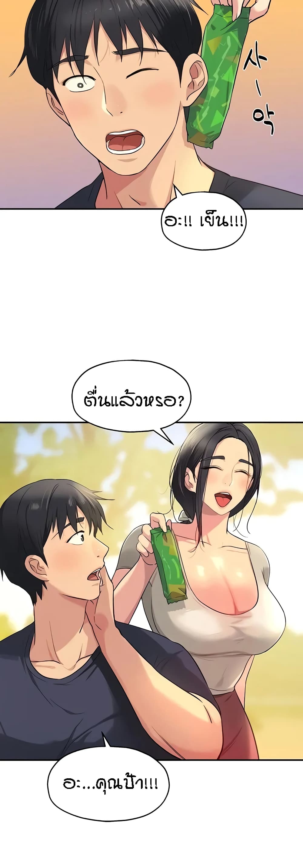 หน้า 29
