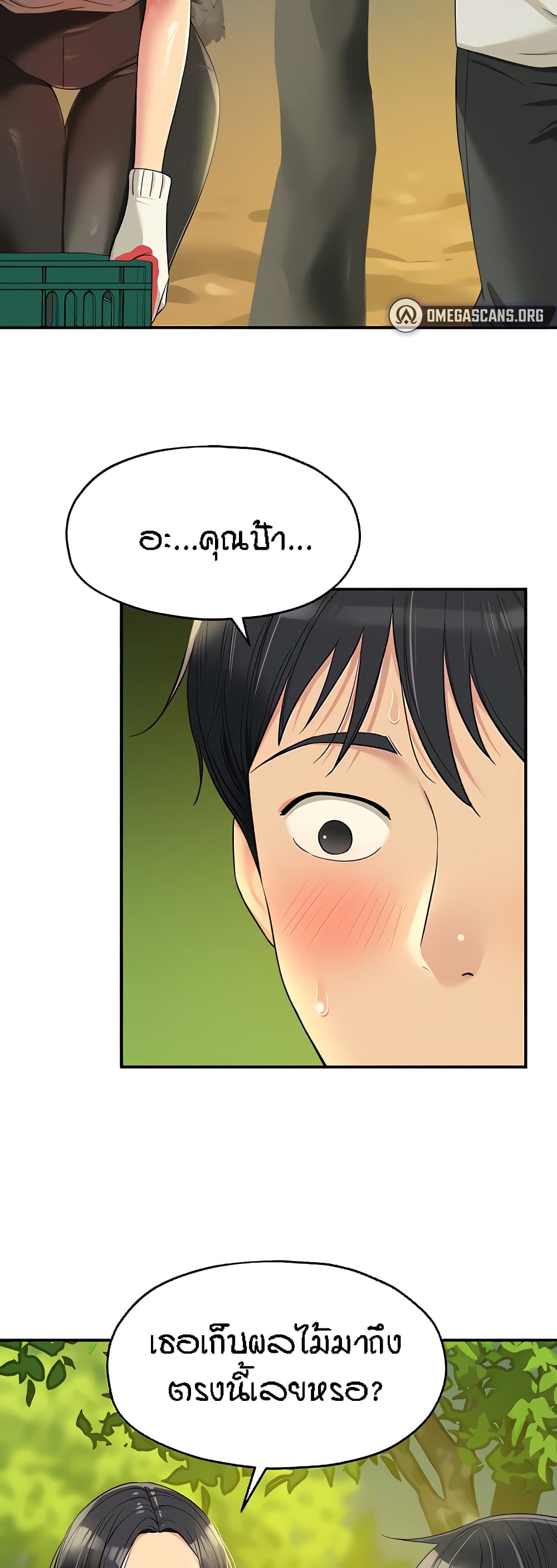 หน้า 29