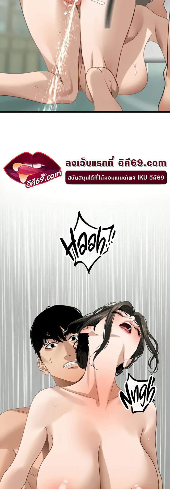 หน้า 29