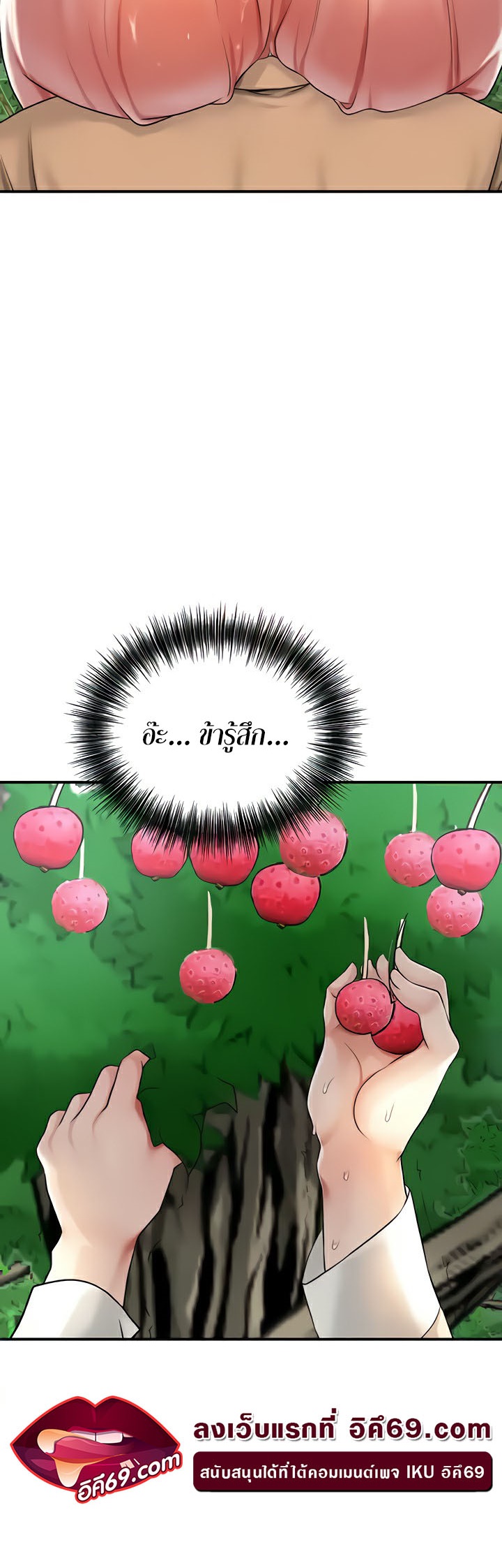 หน้า 42
