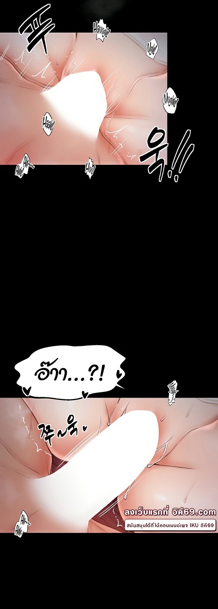 หน้า 46