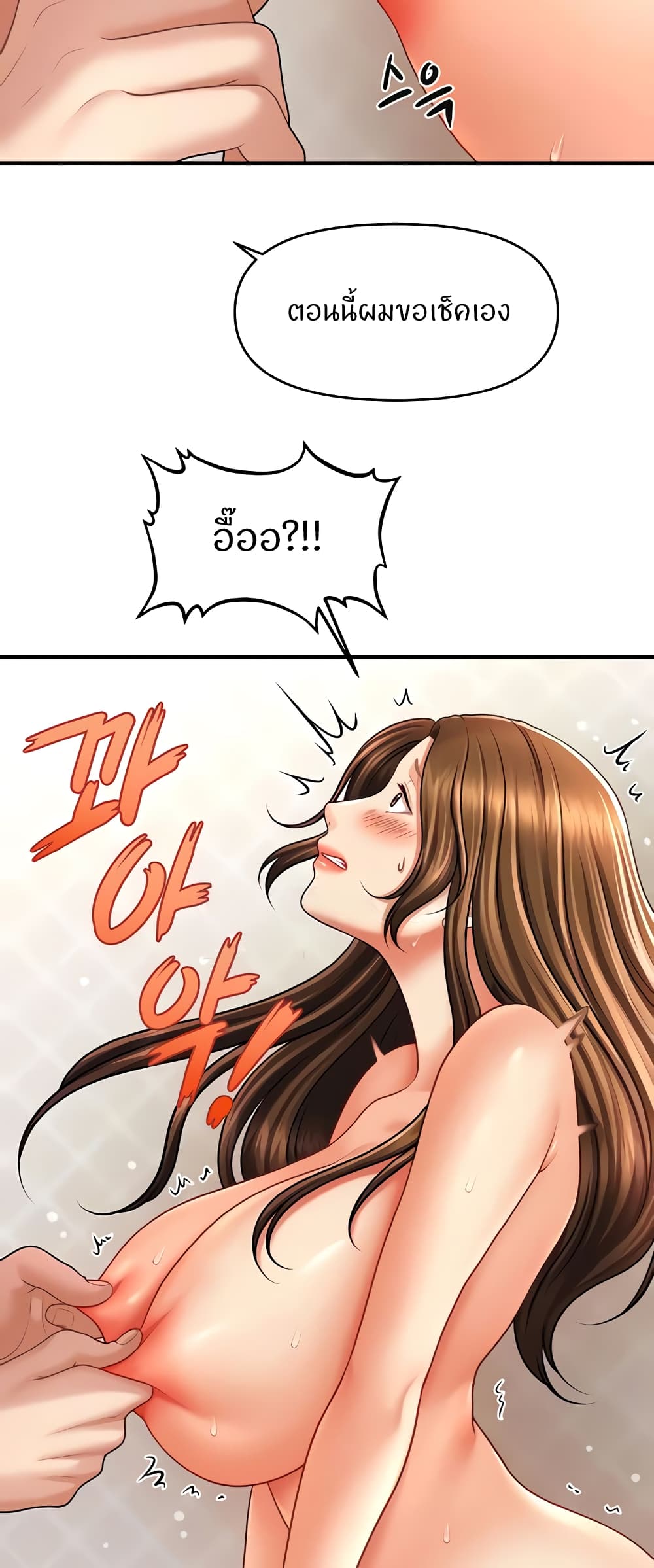 หน้า 43