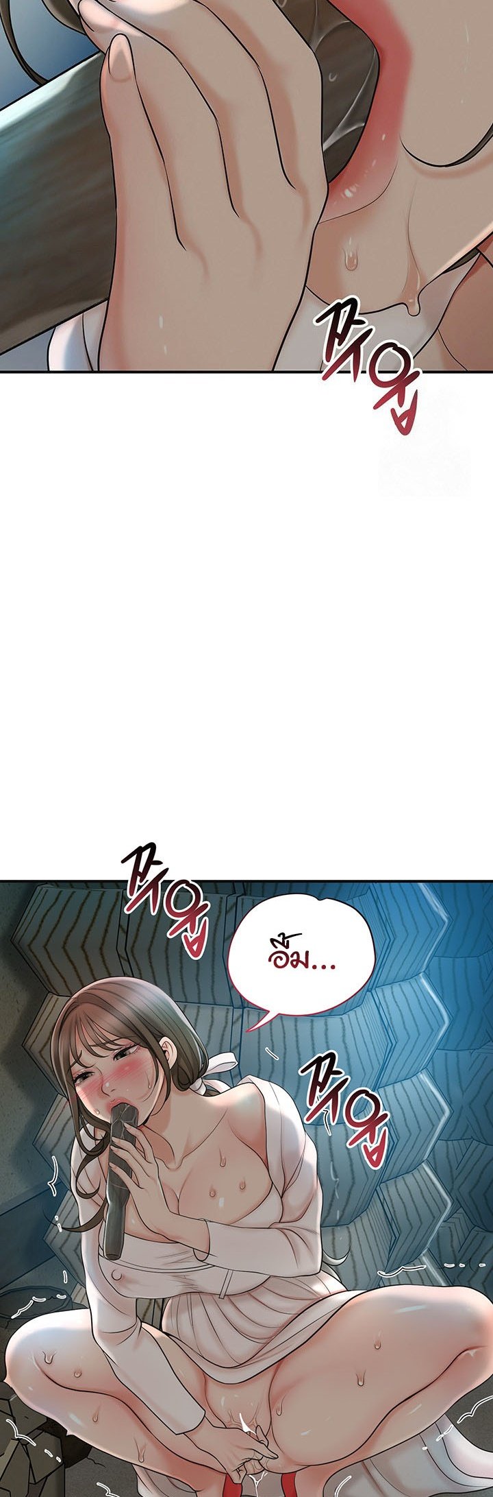 หน้า 43