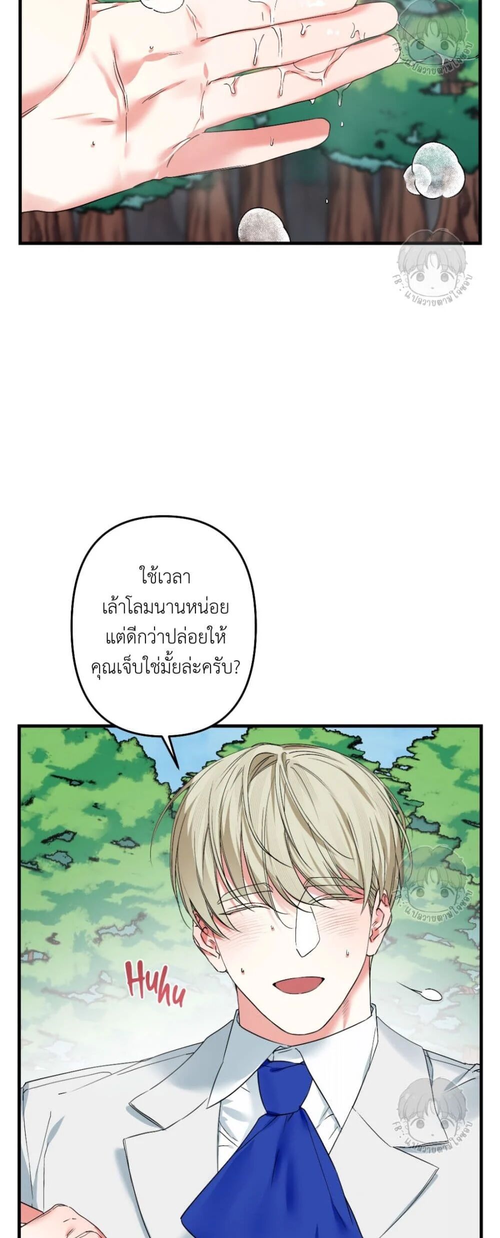 หน้า 29