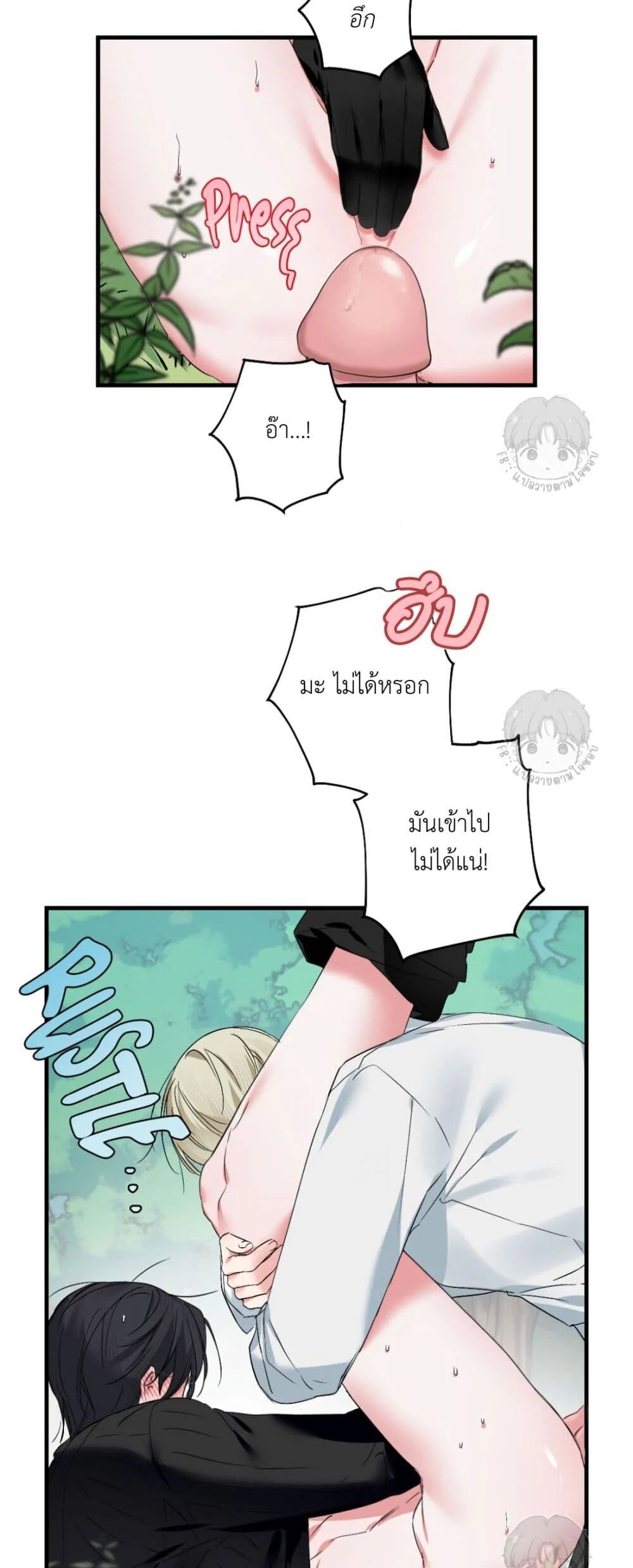 หน้า 42