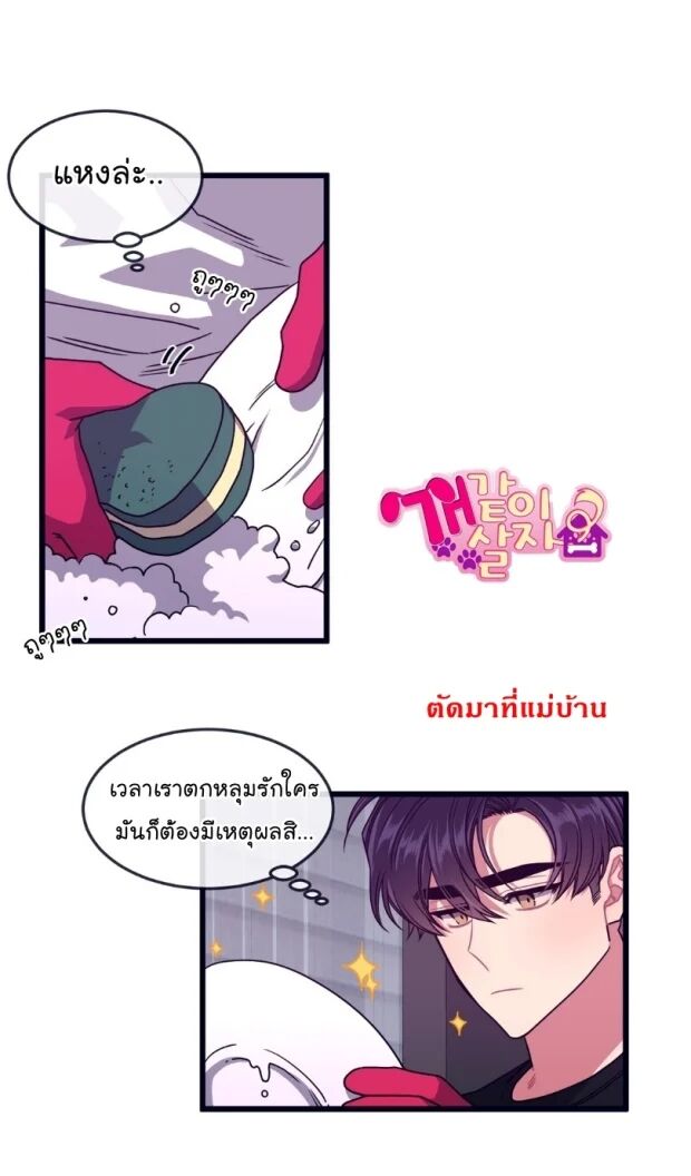 หน้า 42