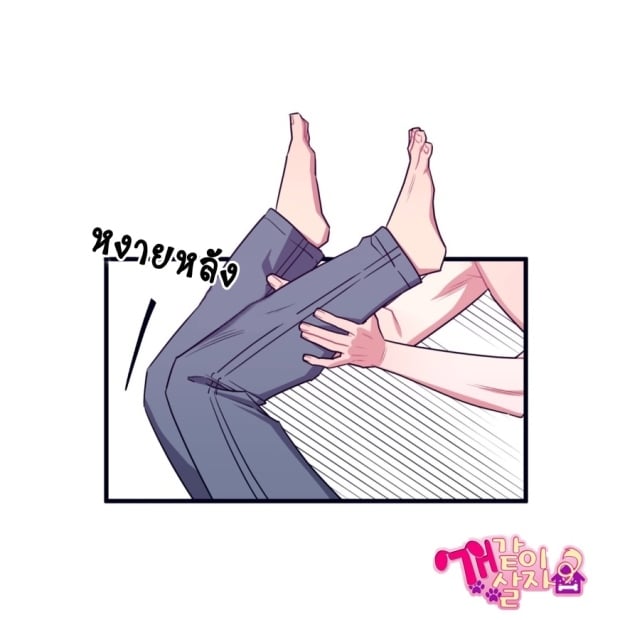หน้า 37