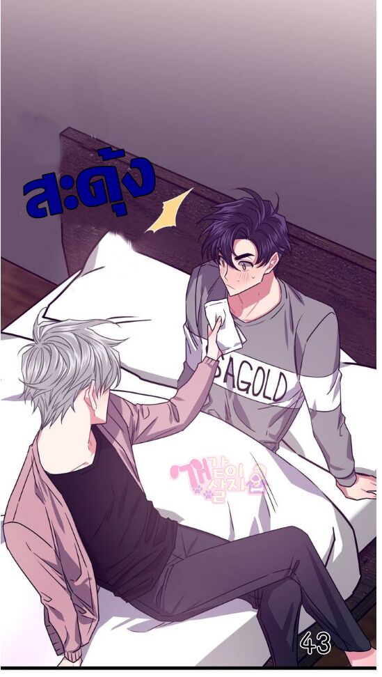 หน้า 46