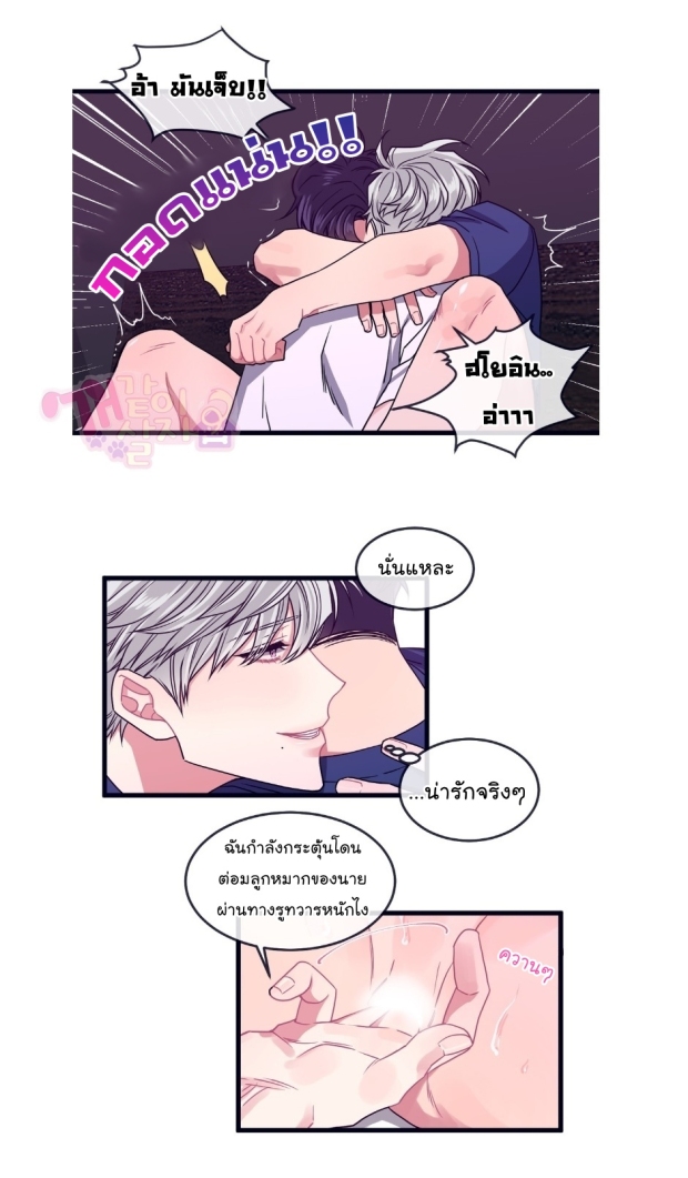 หน้า 24