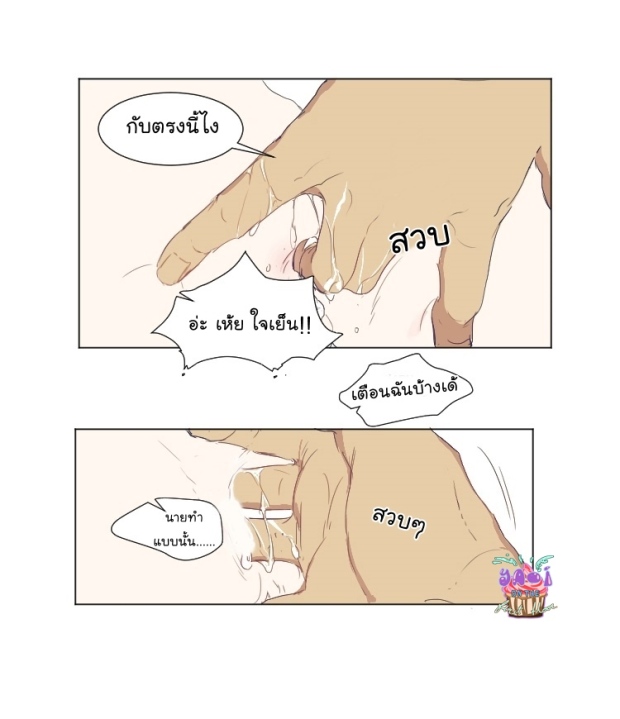 หน้า 29