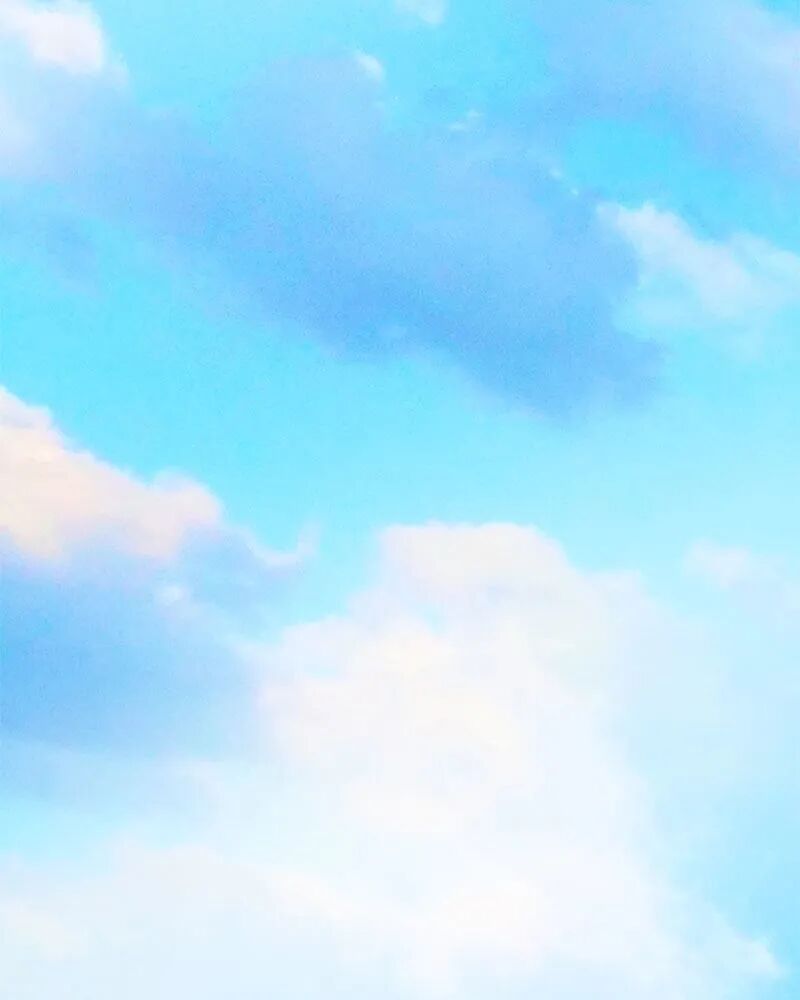 หน้า 117