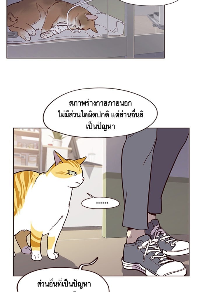 หน้า 64
