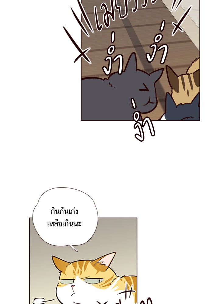 หน้า 70