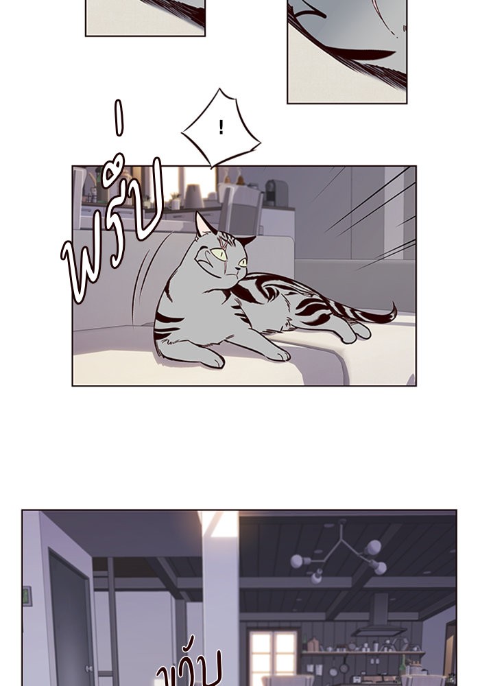 หน้า 61