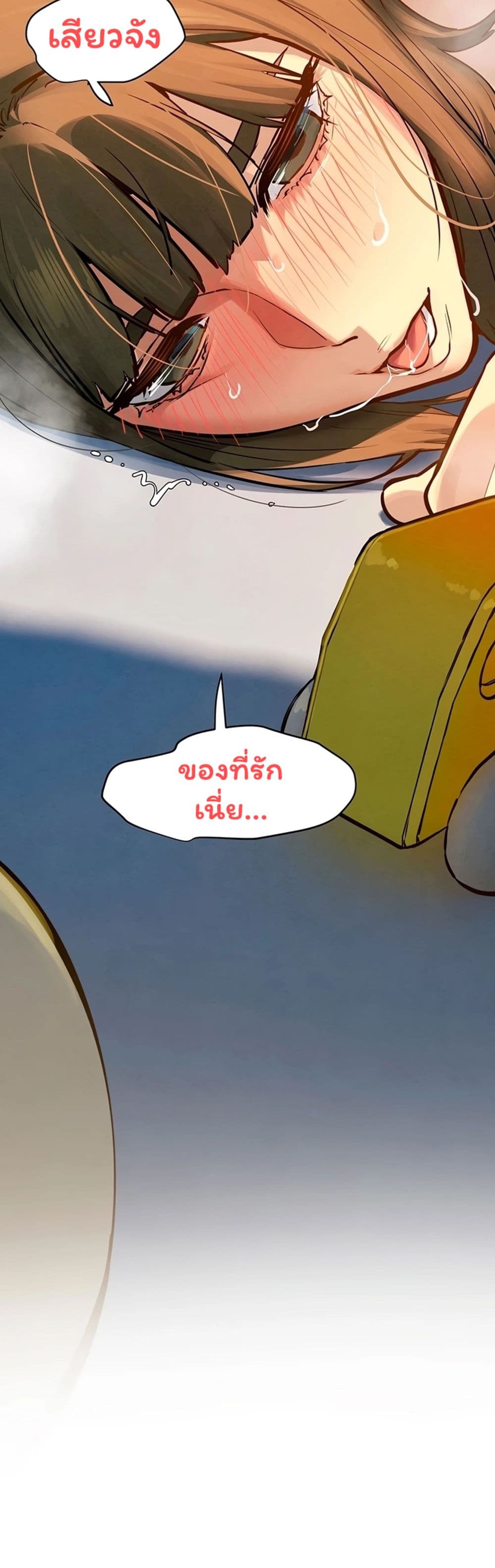 หน้า 43