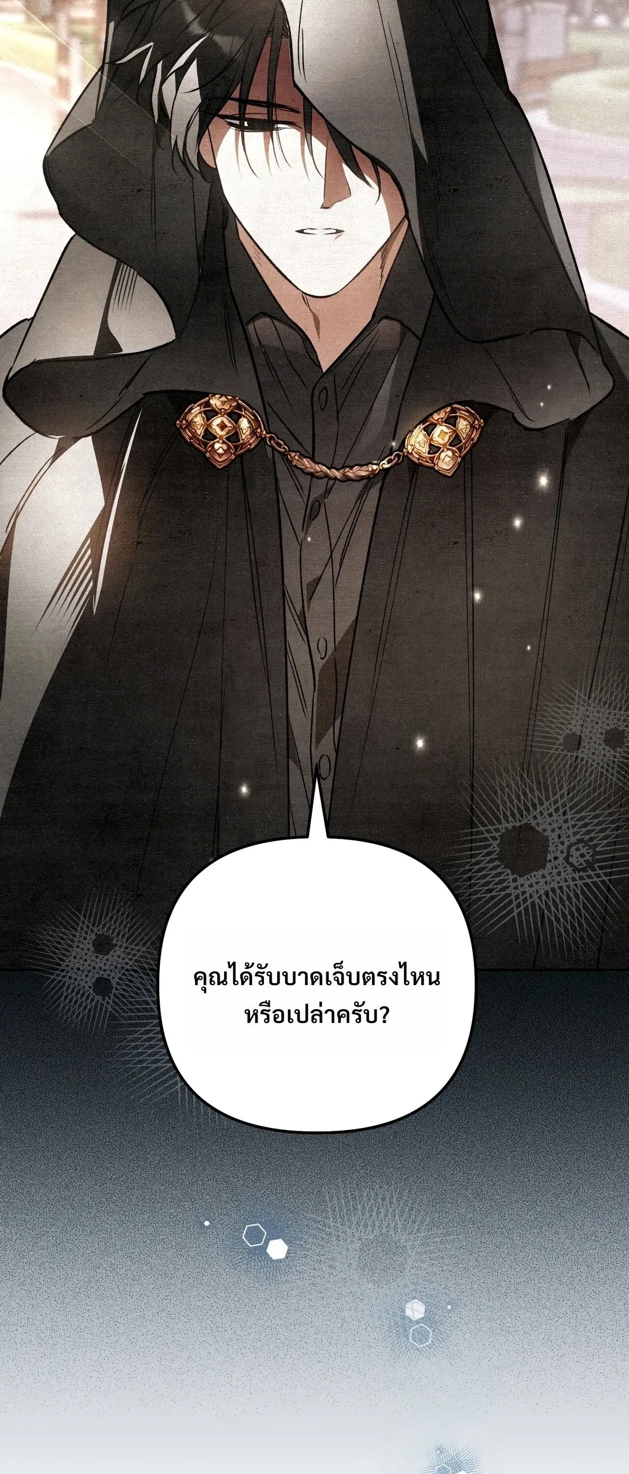หน้า 102